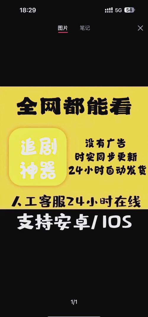 欧美一区二区三区久久久久久桃花的相关介绍