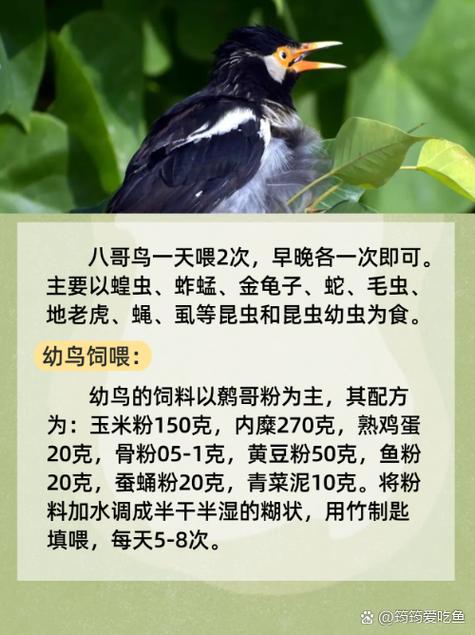 邻居熟女激情小说的相关介绍