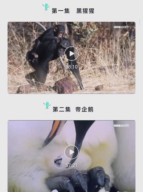 先锋影院新骑兵先锋的相关介绍