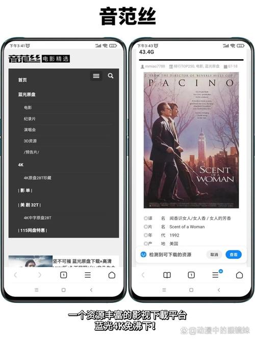 插插狠狠的干污影院的相关介绍