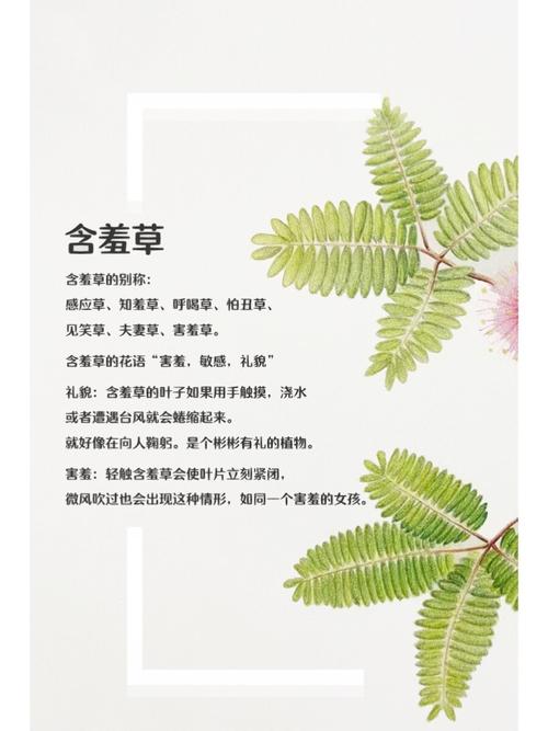 伊人影院高清的相关介绍