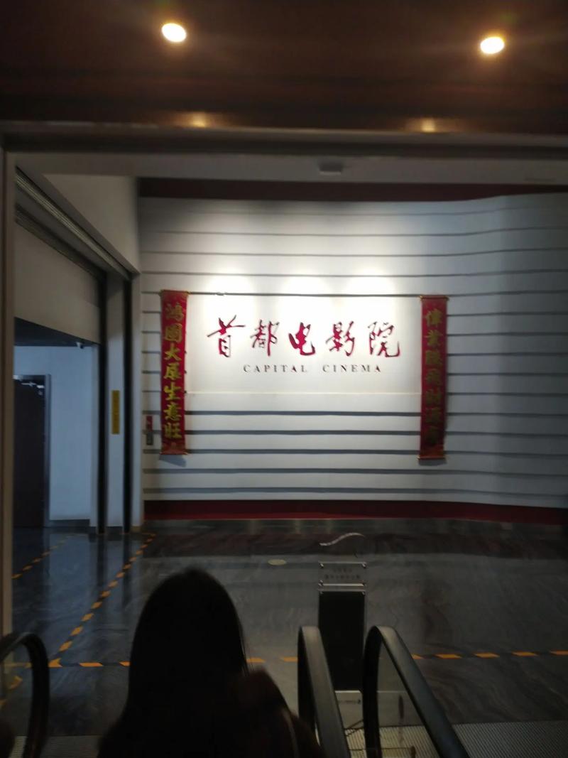 小清新影院变态视频的相关介绍