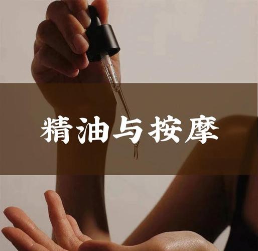宅宅影院的相关介绍