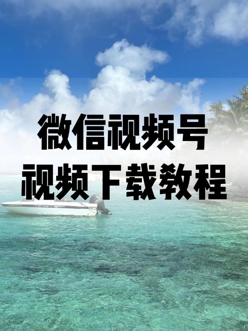 我操老师的逼的相关介绍