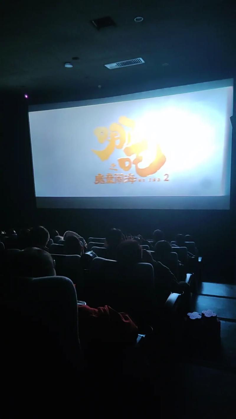 闪闪影院的相关介绍