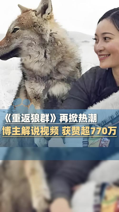 在线视频app下载的相关介绍