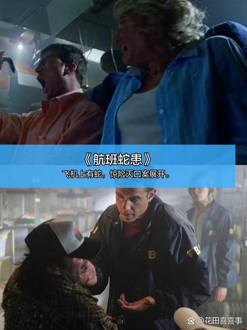 神马影院之在线播放的相关介绍