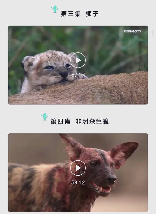 4虎影院永久网址直播的相关介绍