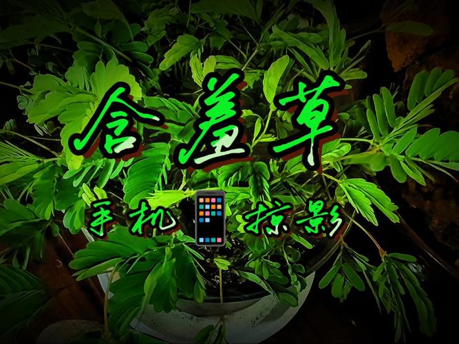 久久久 精品一区的相关介绍