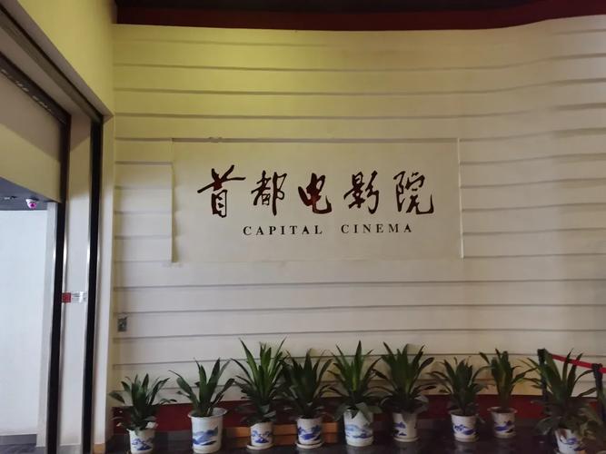 老三影院免费观看的相关介绍