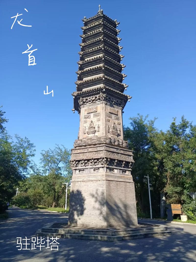 干日少妇av的相关介绍