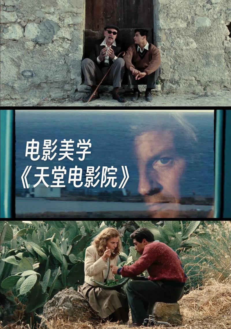 枫花园汽车影院影讯今日的相关介绍