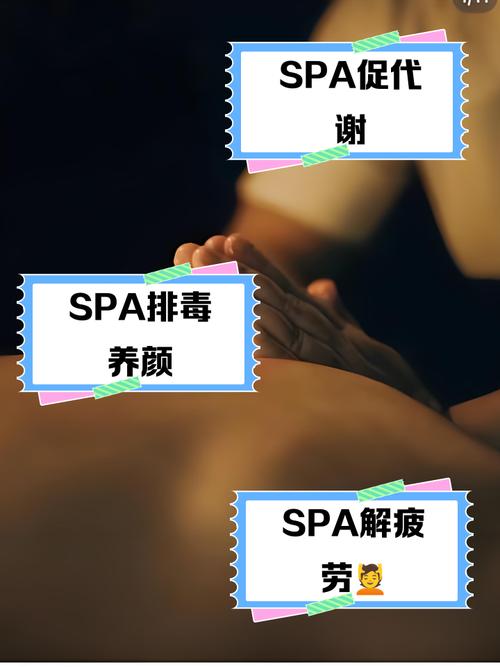 老司机影影院最新的相关介绍