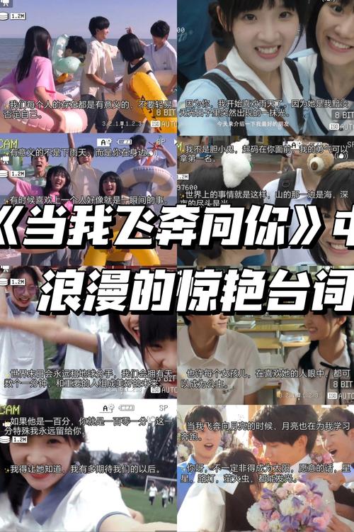 追风影院的相关介绍
