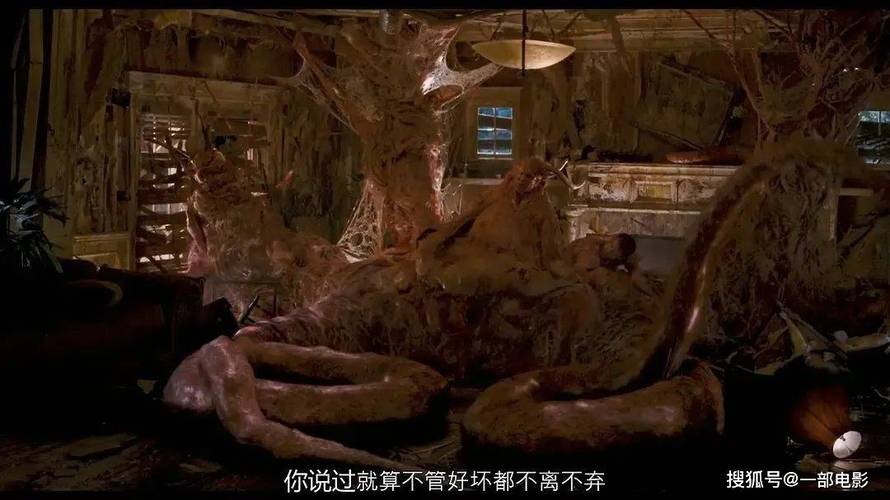 h动漫18岁禁在线看网站的相关介绍