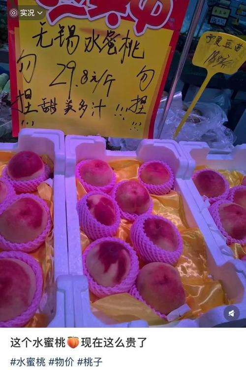 太平洋电影院的相关介绍