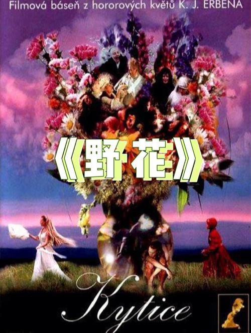 一边亲一边摸一边摸下面的相关介绍