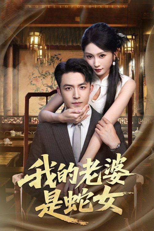 av 少妇的相关介绍
