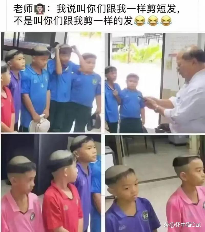 八戒免费视频影院的相关介绍