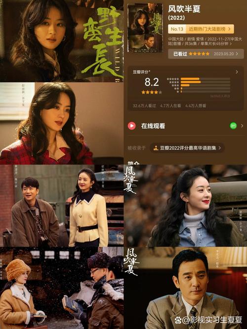 露脸人妻啪啪的相关介绍