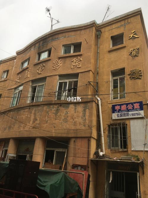 少妇av理论片的相关介绍