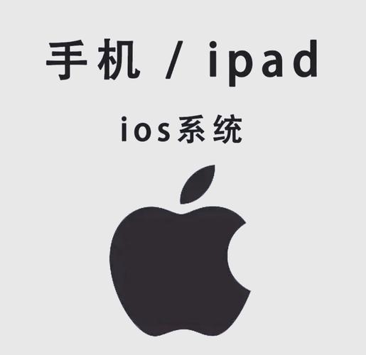 99久久精品毛片免费看的相关介绍