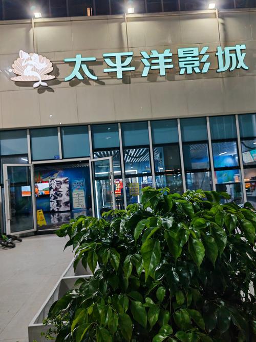 看毛片怎么看的相关介绍