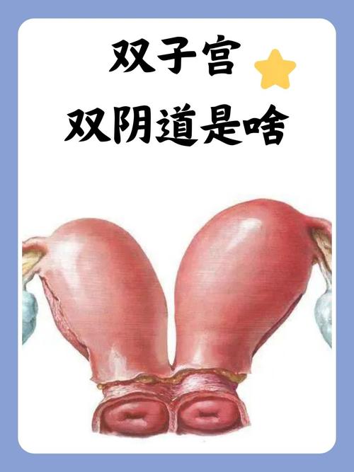 少妇后入av的相关介绍
