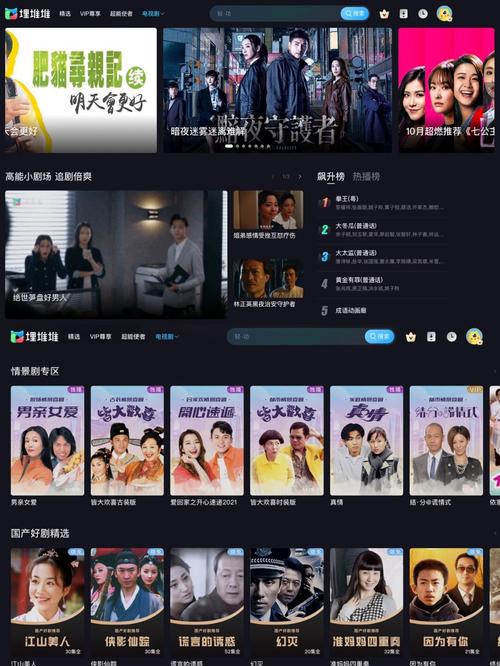 大地数字影院今日影视的相关介绍