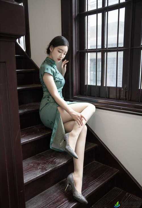 出轨人妻毛片的相关介绍