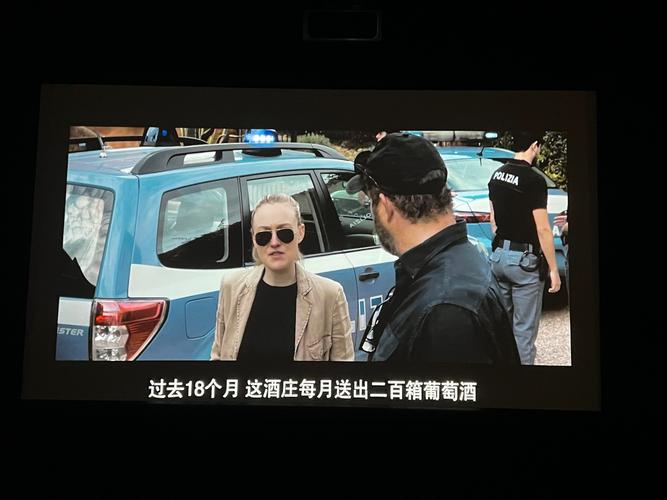 sm国产精品网站的相关介绍