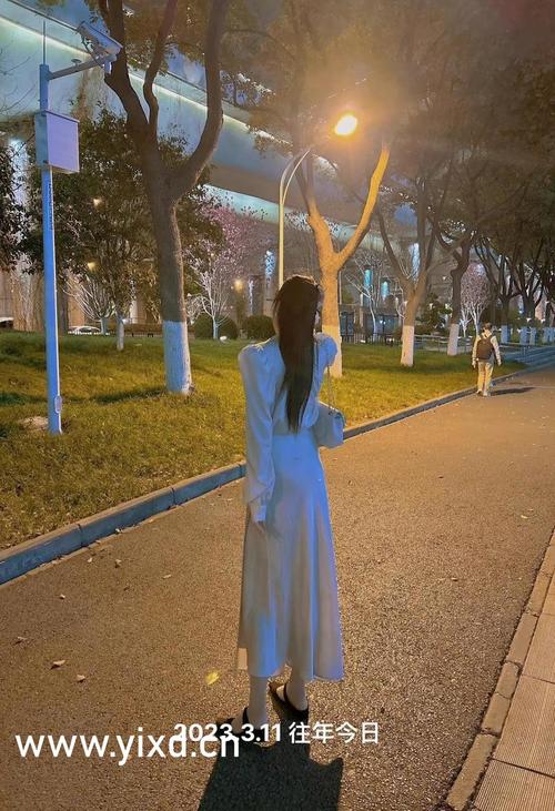 99久久精品人妻少妇一的相关介绍