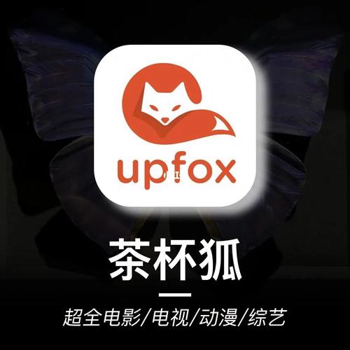 关键词的相关介绍