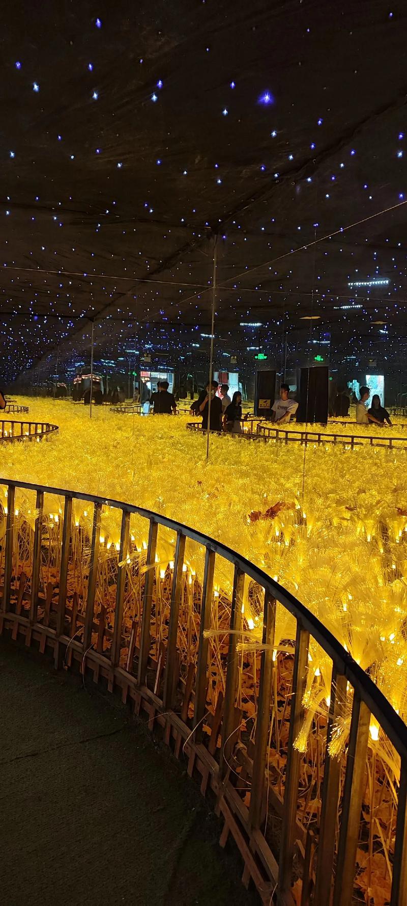 星空影院大全在线观看免费观看的相关介绍