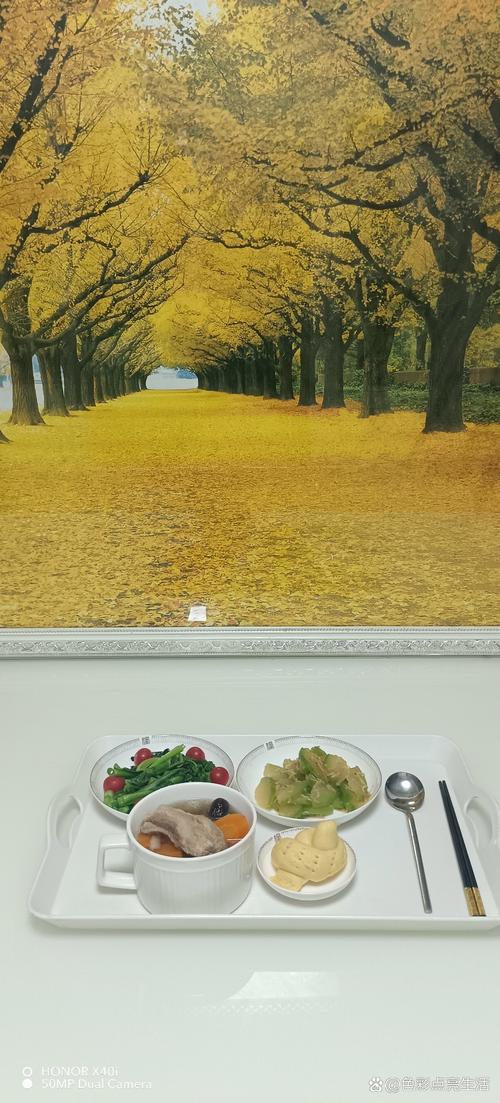 新婚姻法男20女18的相关介绍