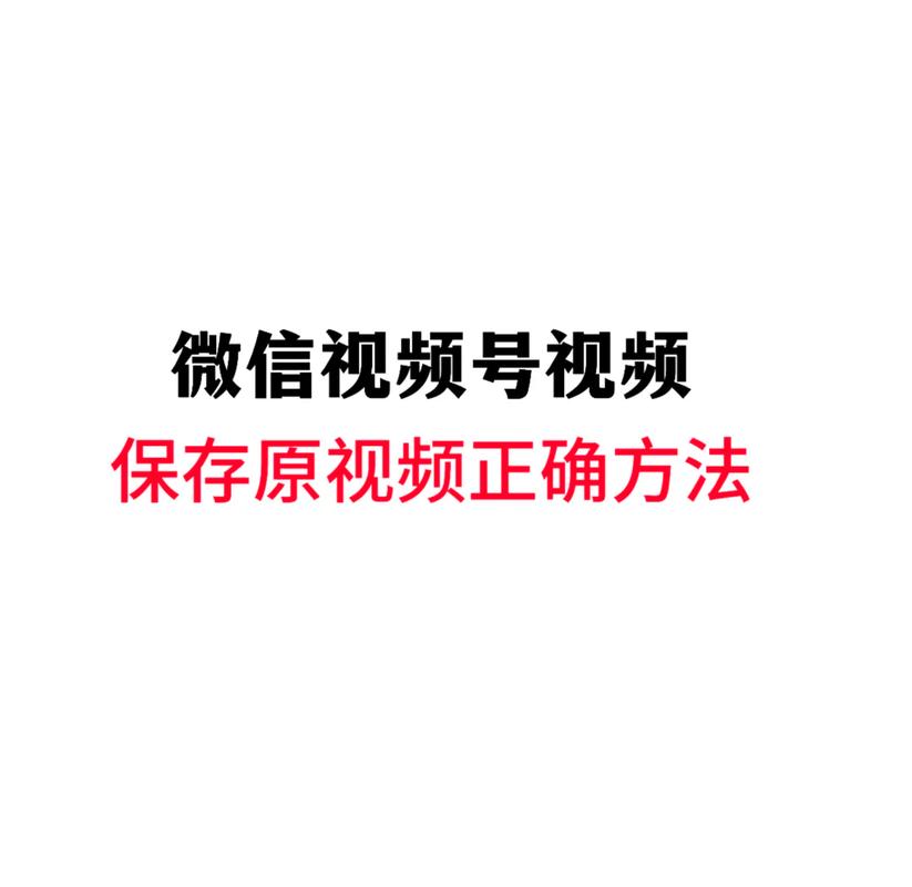 山外人精品影院的相关介绍