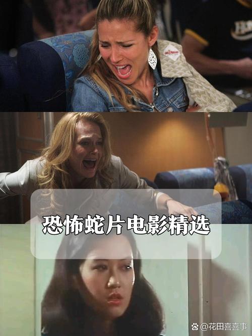 东京热毛片网的相关介绍