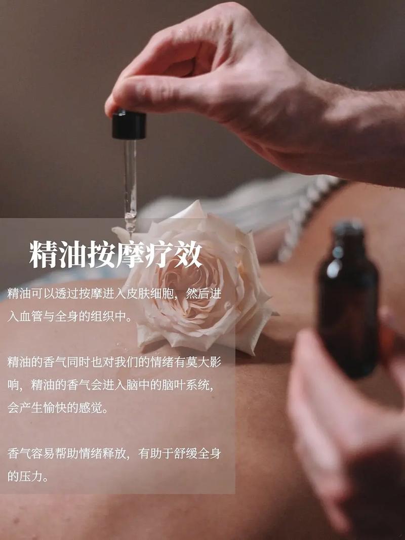 神马影院在线版免费的相关介绍