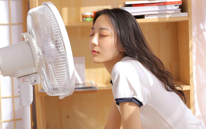 吉吉影音成 人影院6655的相关介绍