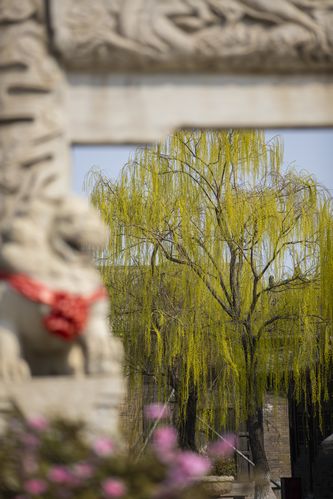 少妇人妻系列中文在线的相关介绍