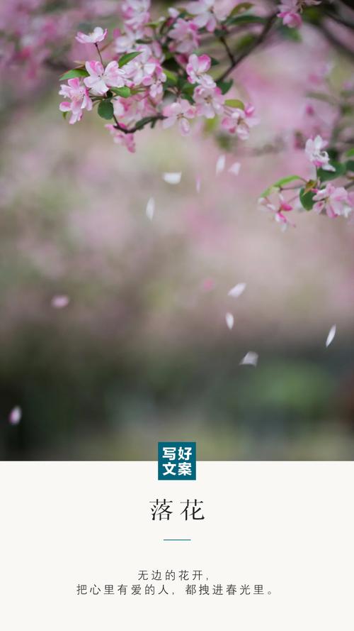 yy4080青苹果累影院的相关介绍