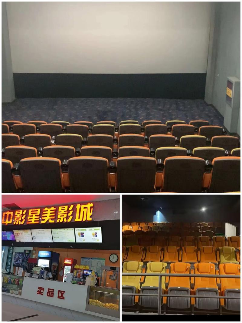 月光影院手机版在线观看的相关介绍