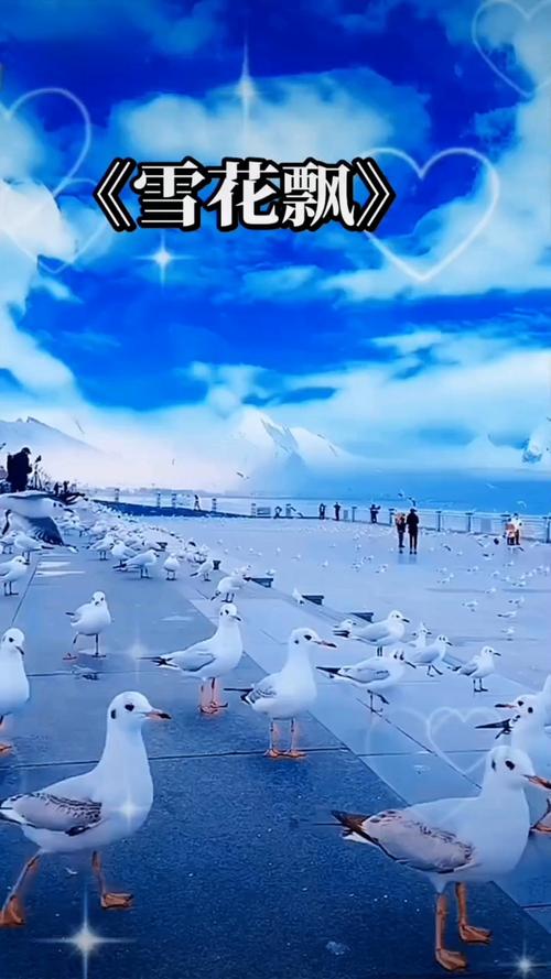 久久久精品久久久精品久久久精品的相关介绍