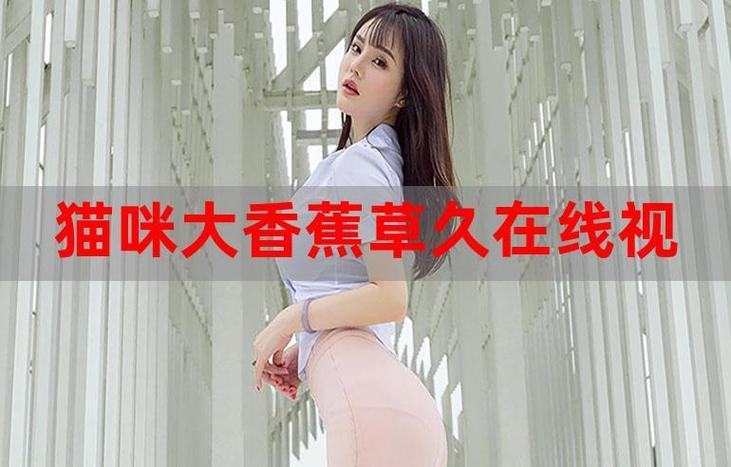 我把女老师给操了的相关介绍