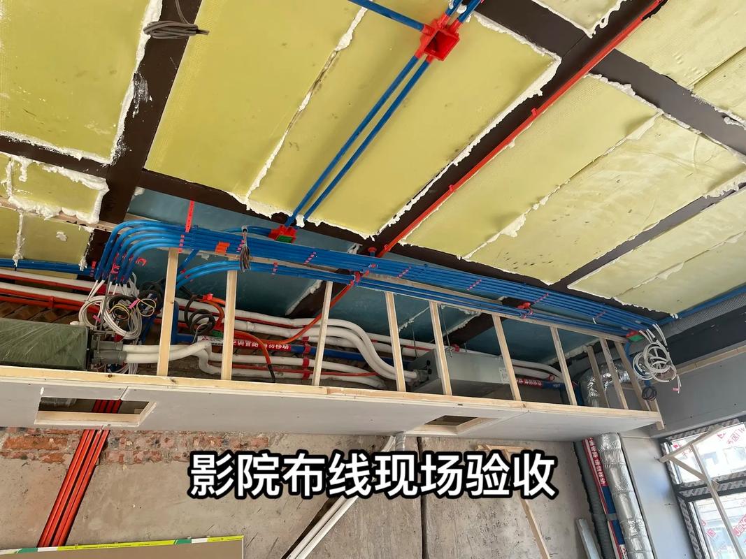 下载app全部视频的相关介绍