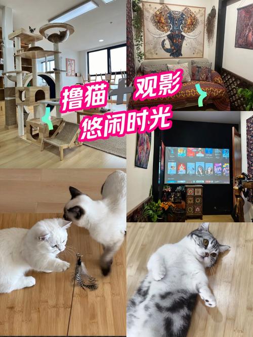2019手机版光棍影院免费的相关介绍