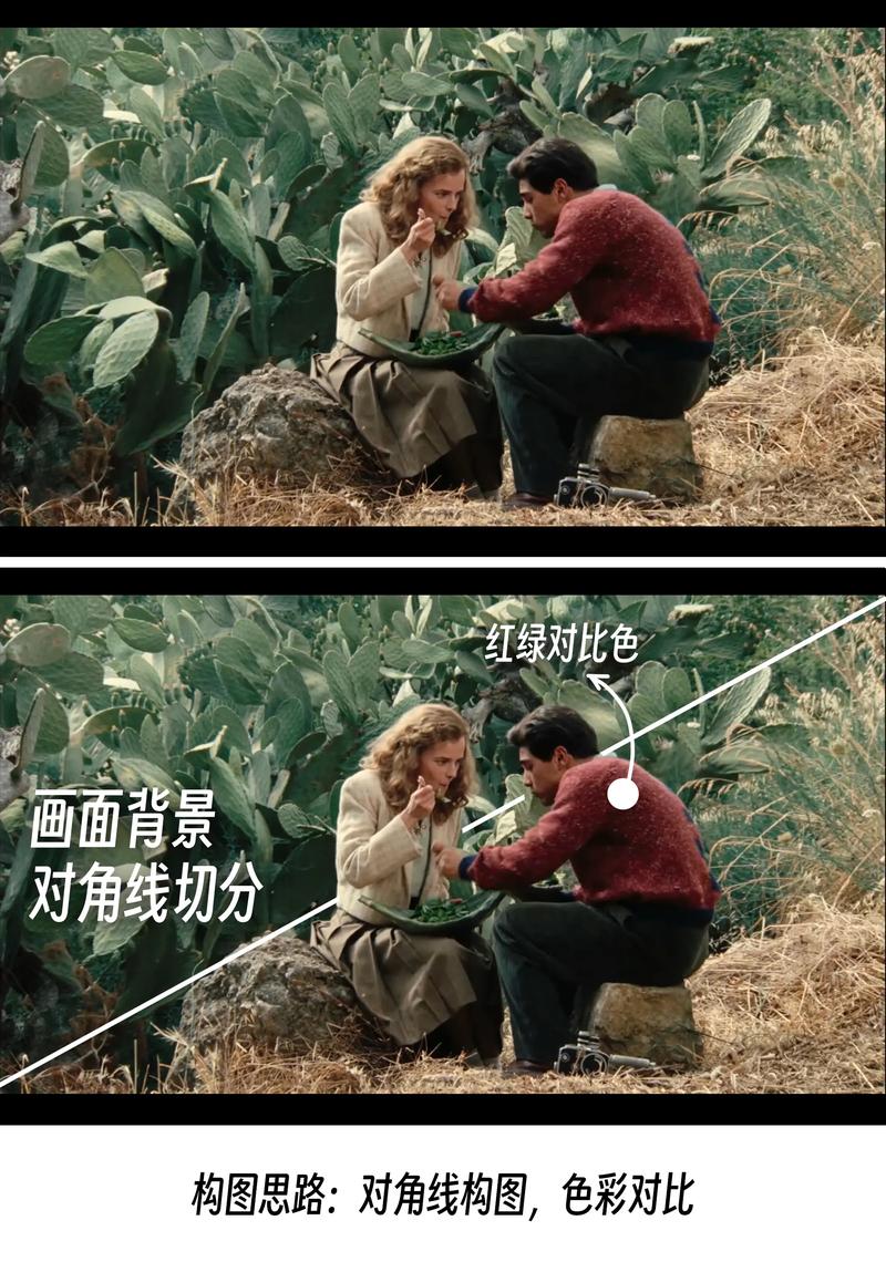 3o一40一50一6o女人毛片的相关介绍