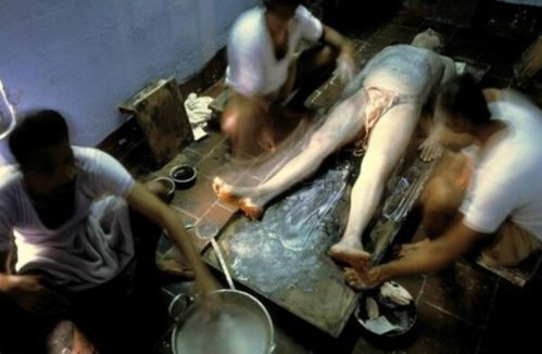 操美女哈哈影院的相关介绍
