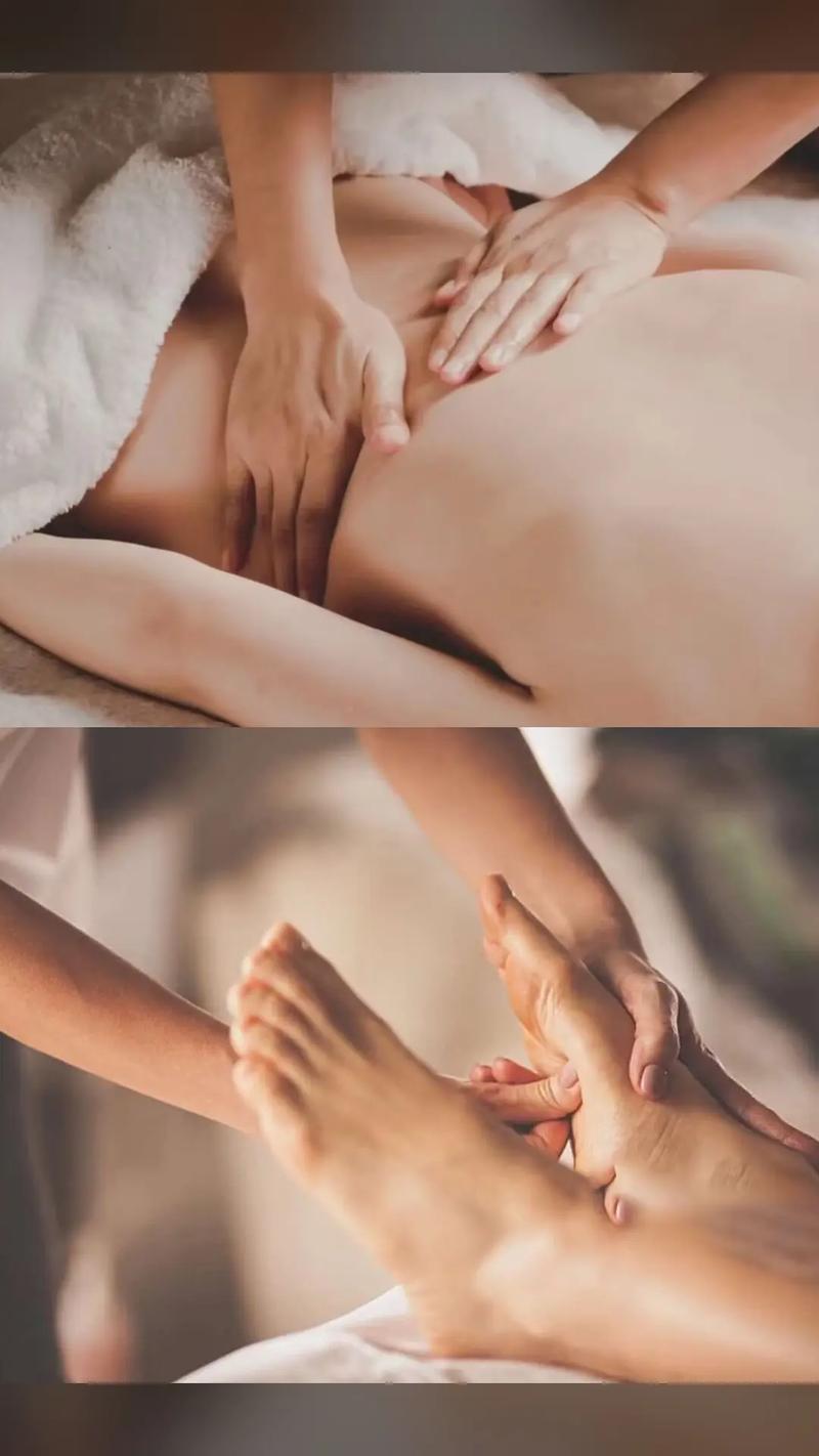 西瓜影院在线观看的相关介绍