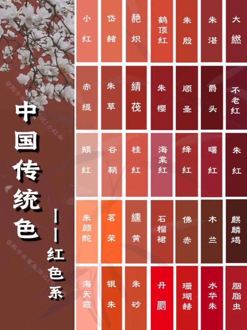 玩玩影院的相关介绍